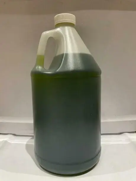 Green K2 Dark Gallon