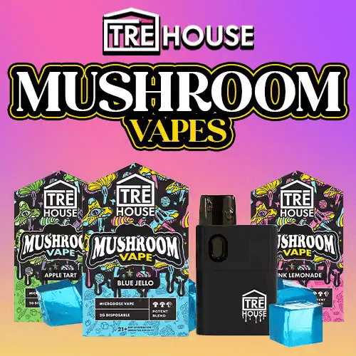 Dmt Cartridges Online